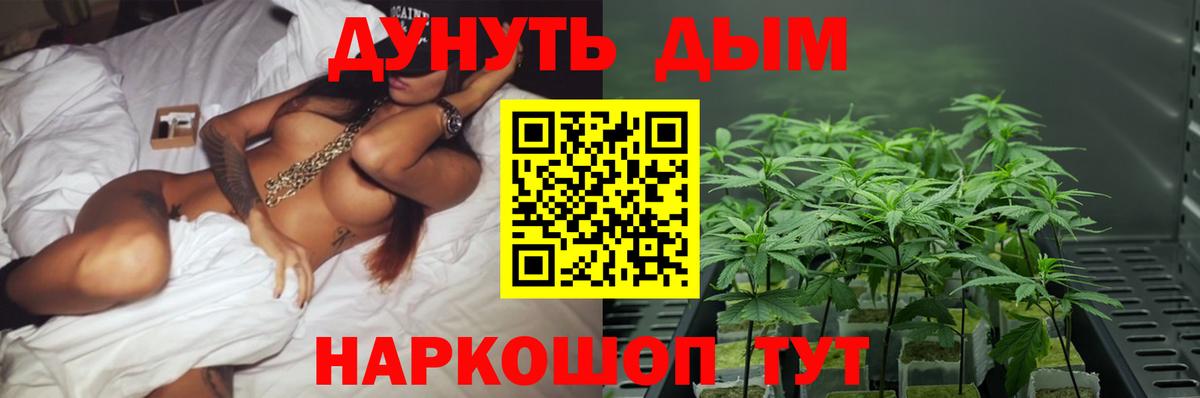 Каннабис Amnesia Сертолово